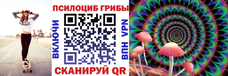 купить  сайты  Беслан  Галлюциногенные грибы MAGIC MUSHROOMS 